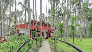 A pathway leading to a building surrounded by tall palm trees. - Lazo Areca Resort (Madikeri)
