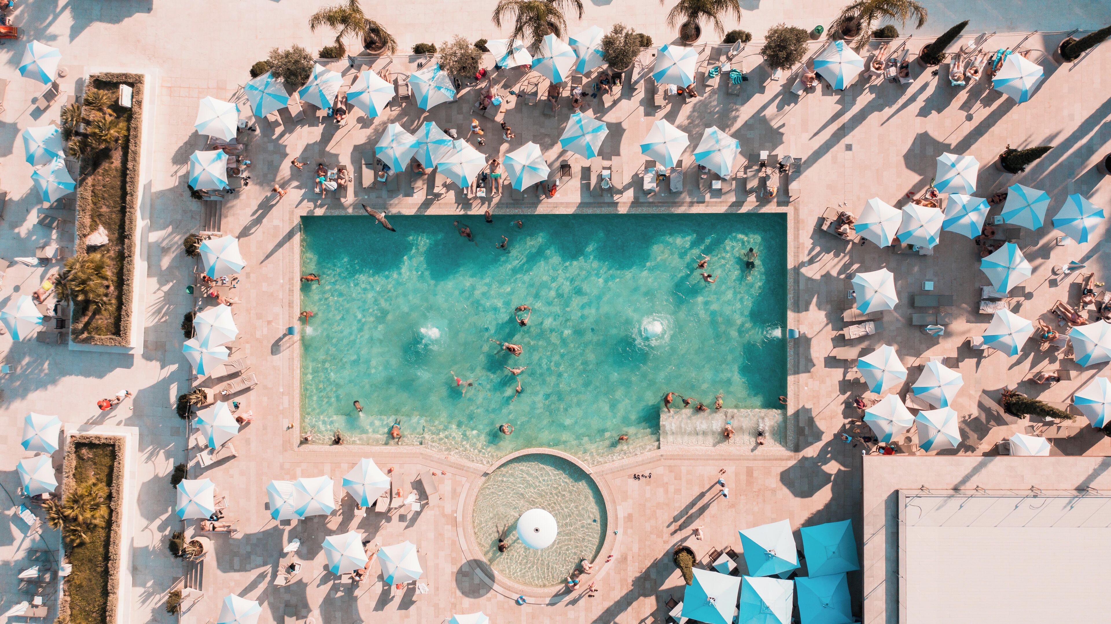 An aerial view of a pool area with multiple sun loungers and umbrellas, surrounded by palm trees and a clear blue pool.