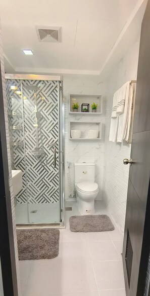 Regadera, secadora de cabello, bidet, toallas