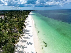 해변에 위치, 비치 바