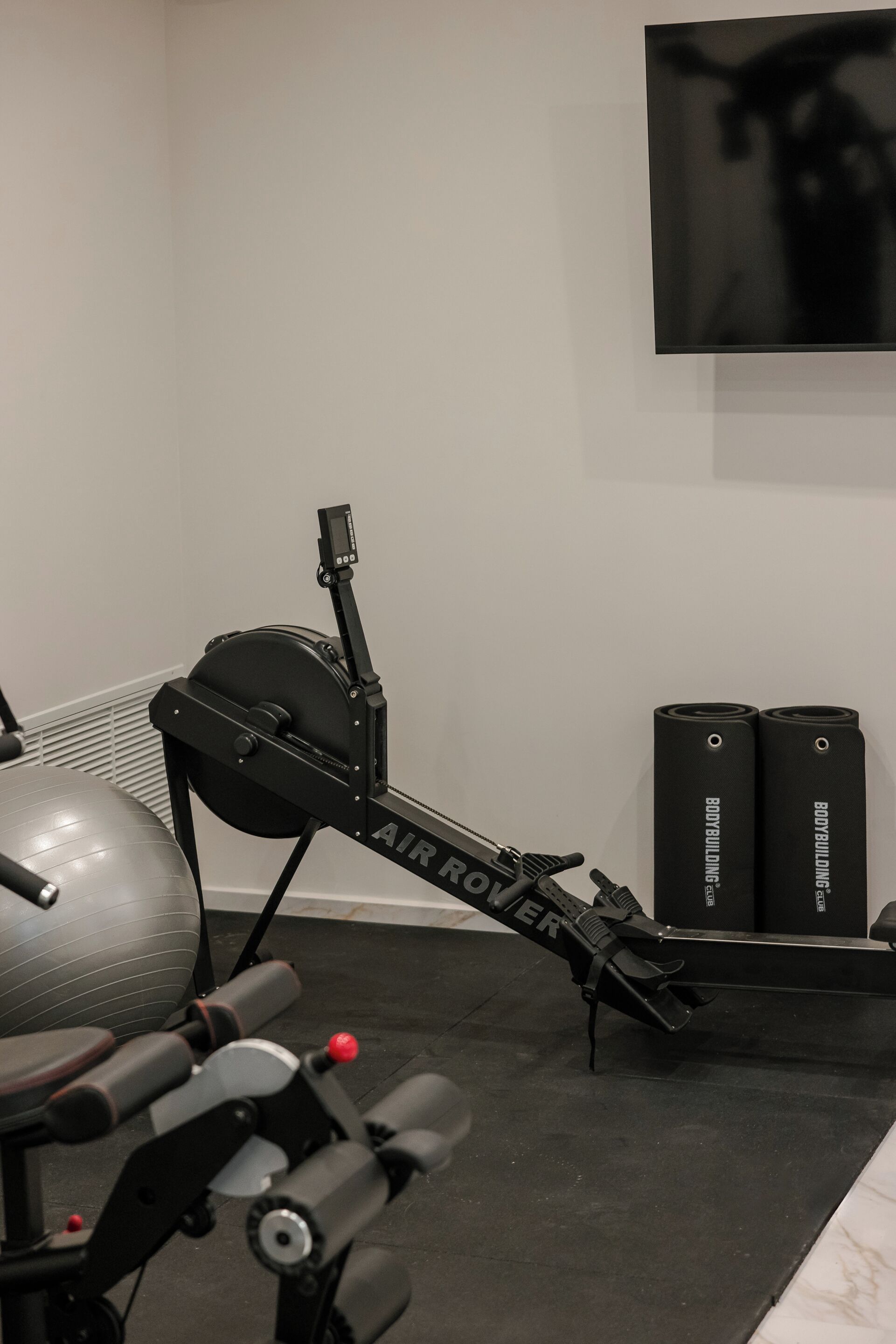A home gym with an air rowing machine, a stationary bike, and two exercise balls.