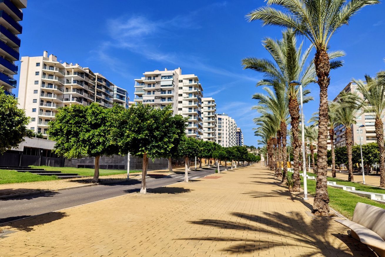 A residential area with multi-story apartment buildings, a paved walkway, and palm trees.