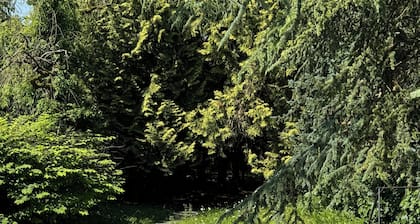 GRAN HOUSE WITH POOL AND SAUNA