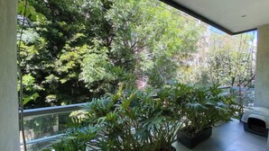 Un balcon agrémenté de plantes en pot et d’un espace réservé aux animaux de compagnie.