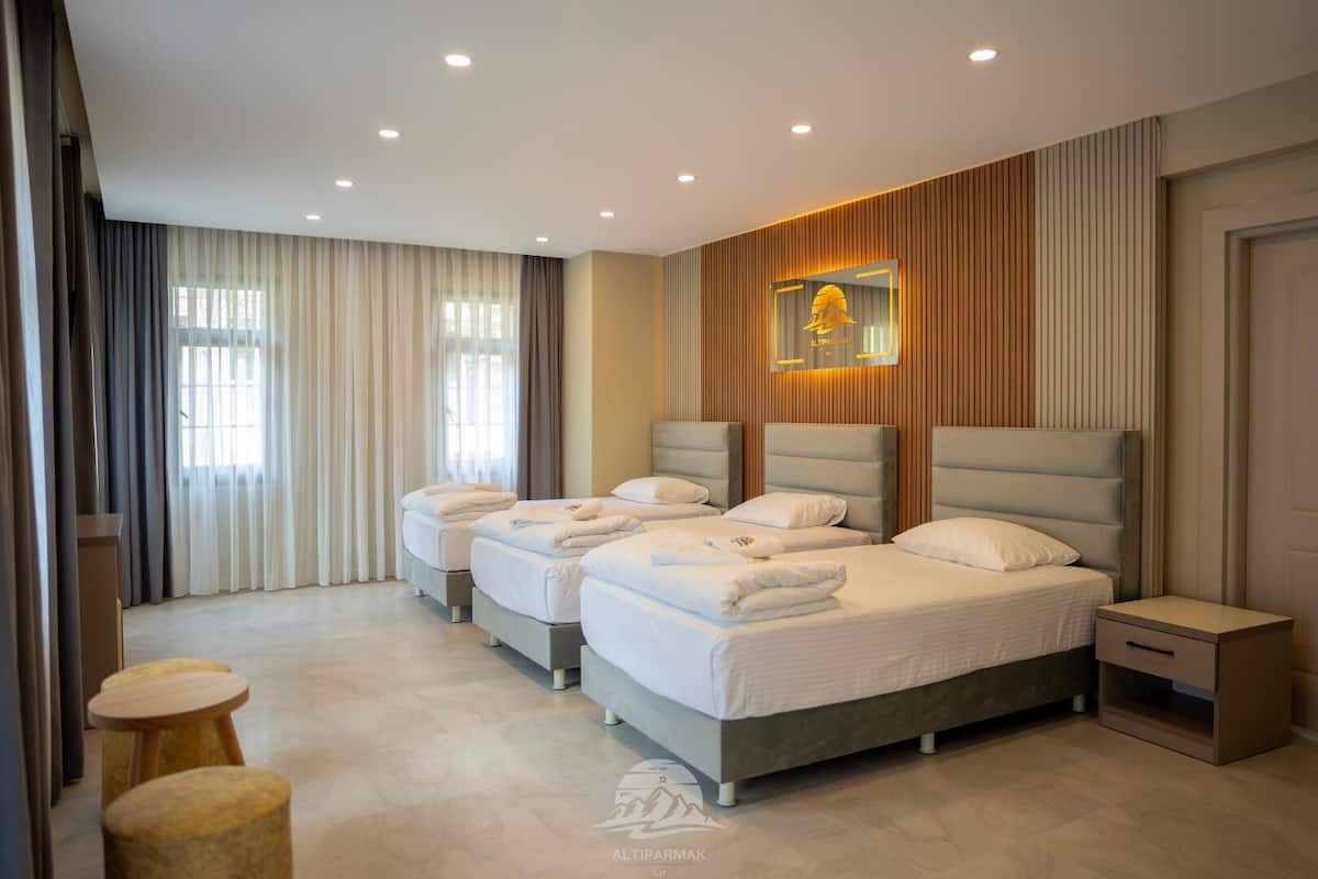 Economy Triple Room