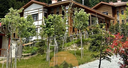 Ayder Altiparmak Suit