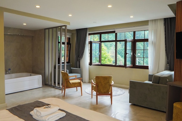 Habitación doble Deluxe de uso individual, vista a la montaña | Escritorio, insonorización, wifi gratis y acceso para silla de ruedas
