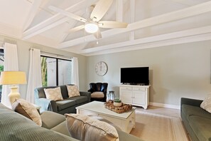 TV connectée, cheminée, livres, espaces bureaux