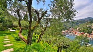 A lush garden with a pathway leading to a seating area, overlooking a coastal town with buildings and boats.