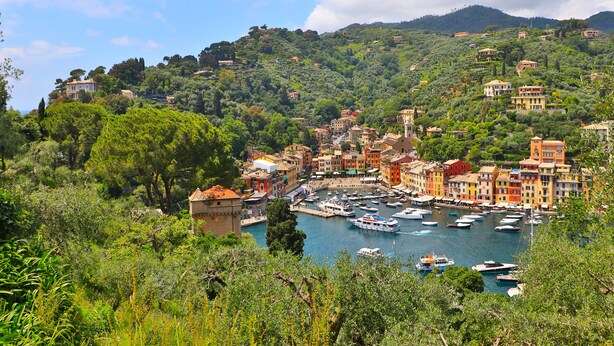 A coastal town with colorful buildings, a marina with boats, and lush greenery.