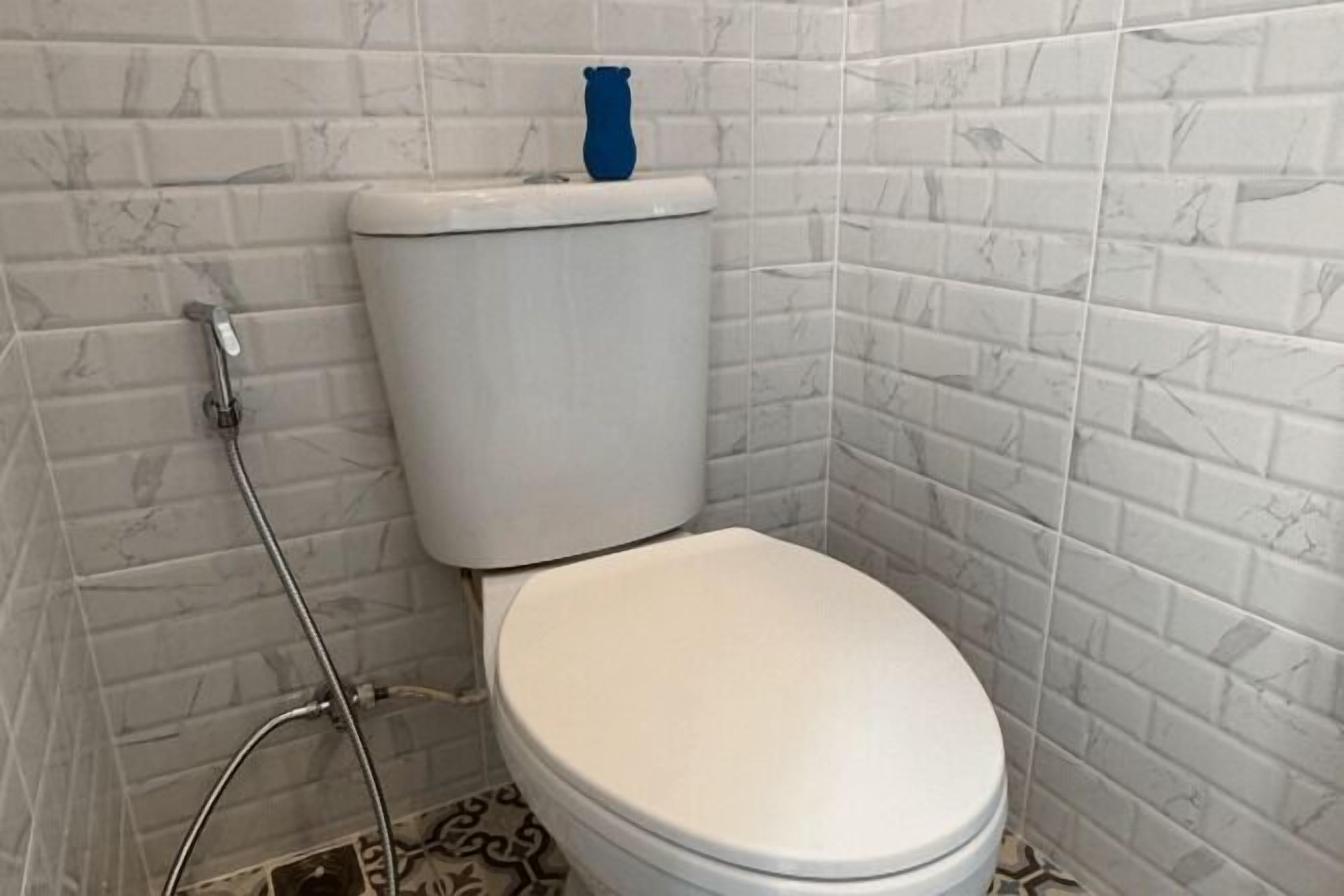 Shower, hydromassage showerhead, hair dryer, bidet