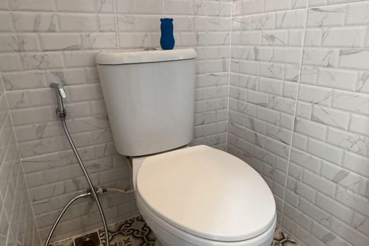 Shower, hydromassage showerhead, hair dryer, bidet