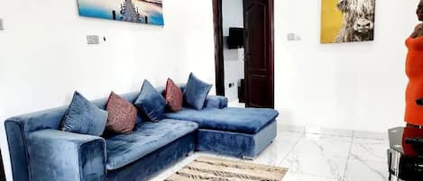 45 インチのプラズマテレビ (ケーブル放送視聴可)、Netflix、ストリーミングサービス