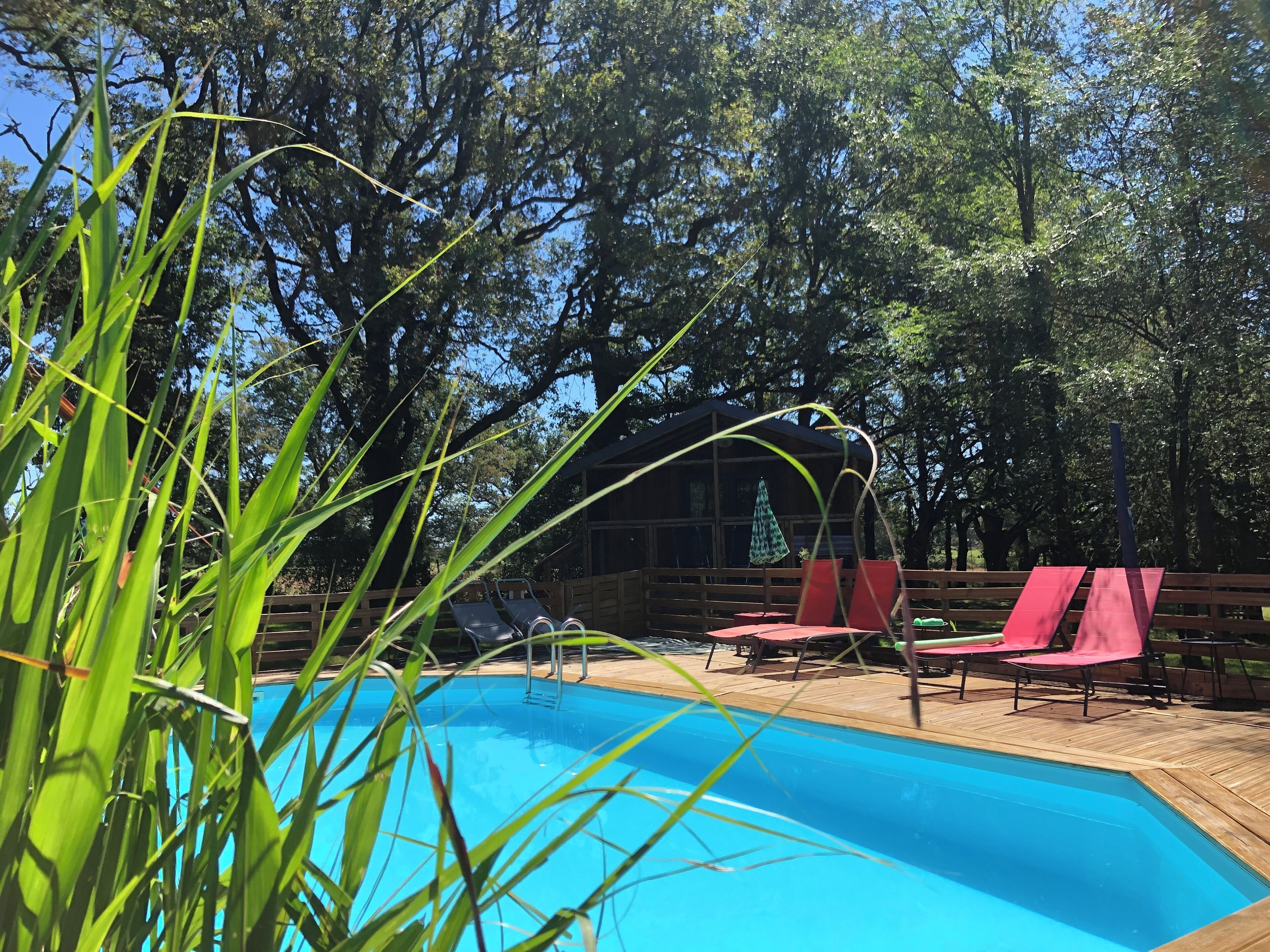 Ein Schwimmbecken mit Holzterrasse, umgeben von Bäumen und roten Liegestühlen.