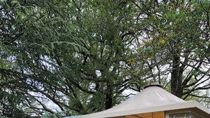 A wooden staircase leading to a tent-like structure with a window and a door, surrounded by a wooden fence and trees.