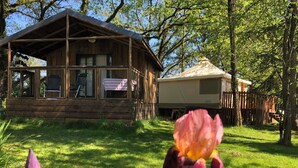 A rustic cabin with a porch and a covered outdoor area, surrounded by lush greenery and trees.