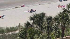 A beach with people, palm trees, and a clear sky. - Oceanview Efficiency DW607 (Myrtle Beach)