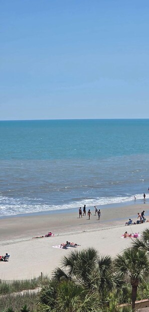 A beach with people, palm trees, and a clear sky. - Oceanview Efficiency DW607 (Myrtle Beach)
