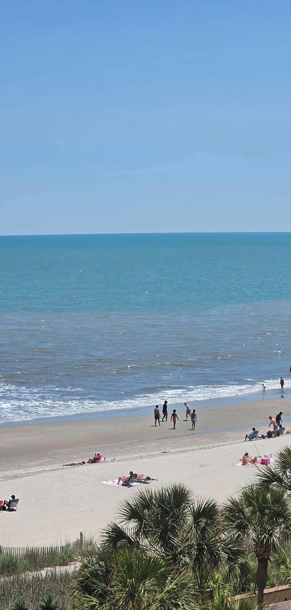 Une plage avec des gens, des palmiers et un ciel dégagé.