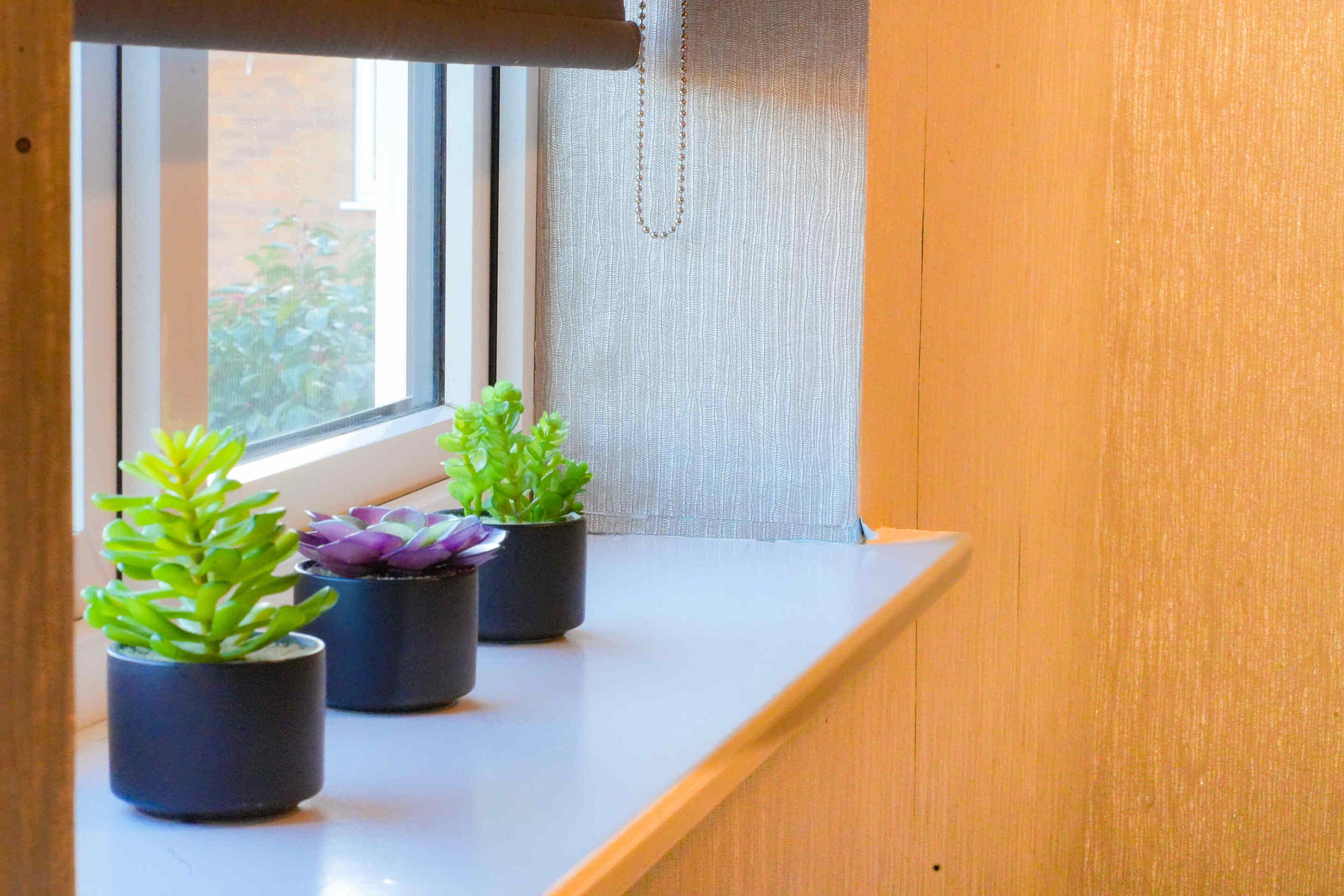 A window sill with three potted plants.