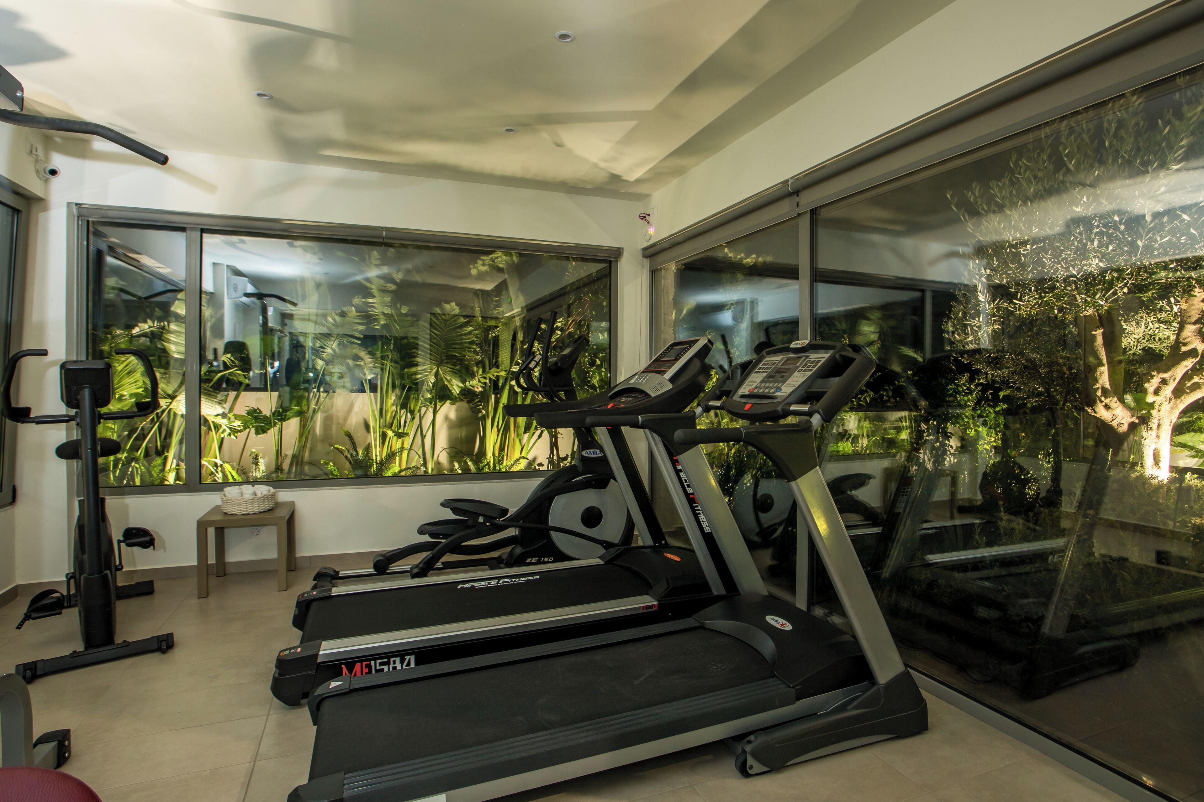 A modern home gym with treadmills, a stationary bike, and a rowing machine. Large windows offer views of indoor plants and a tree outside.