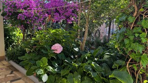 A garden with various plants and flowers, including purple bougainvillea and a pink hydrangea. - Villa Klisovic (Rogoznica)