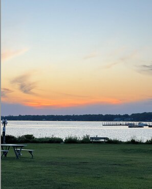 Property grounds - Louie's: Tiny house: Downtown (Boyne City)