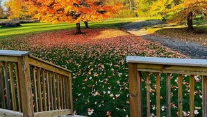 Een houten terras met hekwerk, een gazon en bomen met herfstkleuren.