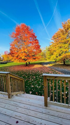 Property grounds - Royalton Hidden Gem Dreamy villa 6bedrooms/4bath (Davenport)