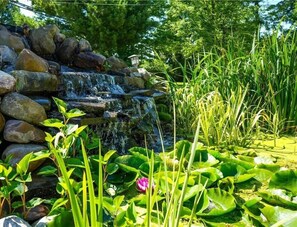 Property grounds - Royalton Hidden Gem Dreamy villa 6bedrooms/4bath (Davenport)