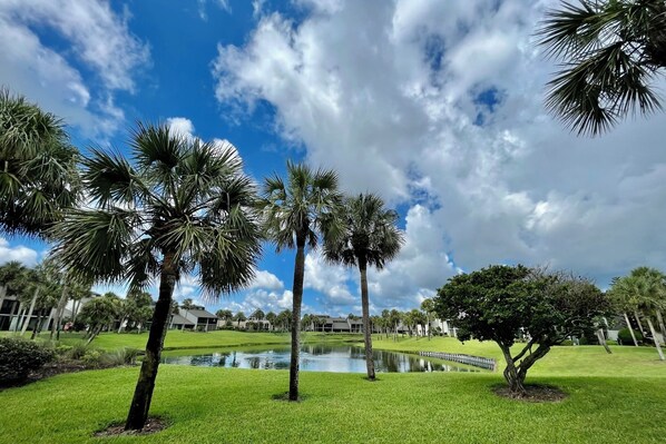 Property grounds - 1st floor, 2bed/2bath, short walk to both beach and indoor/outdoor pool! (Saint Augustine)