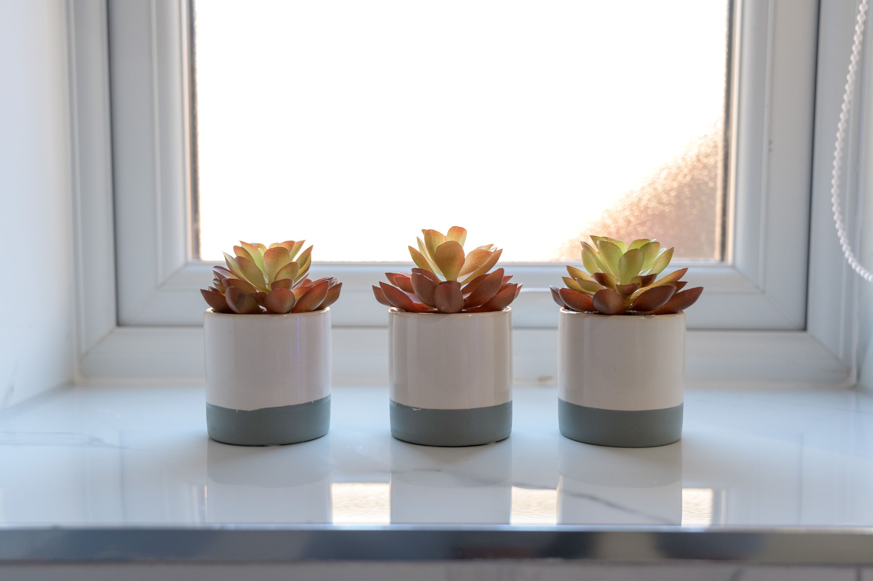 Three potted succulents on a windowsill.