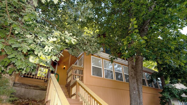 A wooden staircase leading to a house with a large tree in front.