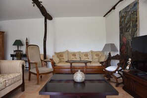 Smart TV, fireplace, books