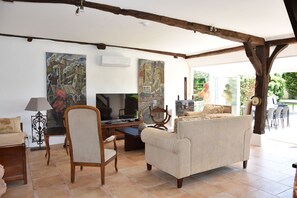 Una Smart TV, una chimenea, libros