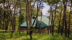 Una cabana rústica envoltada d'alzines altes i amb teulada verda, situada en un bosc frondós.