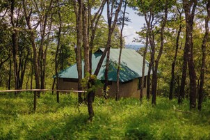 Escritorio, espacio para trabajar con laptop y ropa de cama 