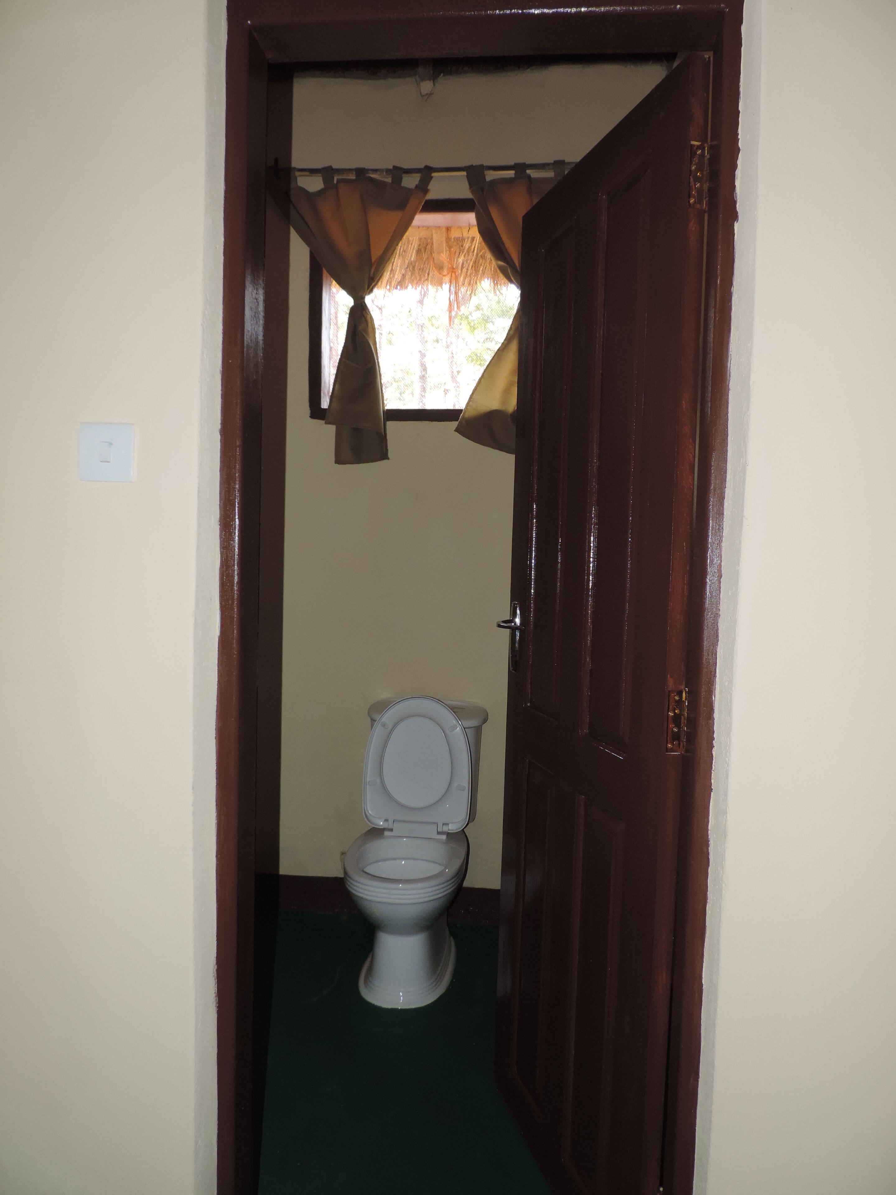 A bathroom with a toilet, a window with curtains, and a wooden door.