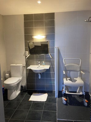 Hair dryer, towels, toilet paper