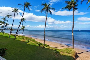 Una playa con palmeras y un cielo azul despejado.