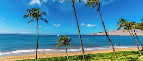 On the beach, sun loungers, beach towels