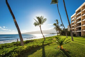 Aan het strand, ligstoelen aan het strand, strandlakens