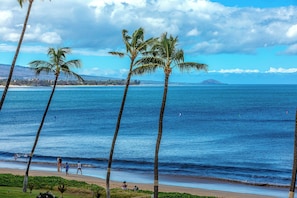 Plage, chaises longues, serviettes de plage