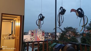 A balcony with hanging birdcages and a view of a cityscape. - parrot house san antonio (Cali)