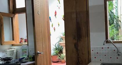 parrot house san antonio