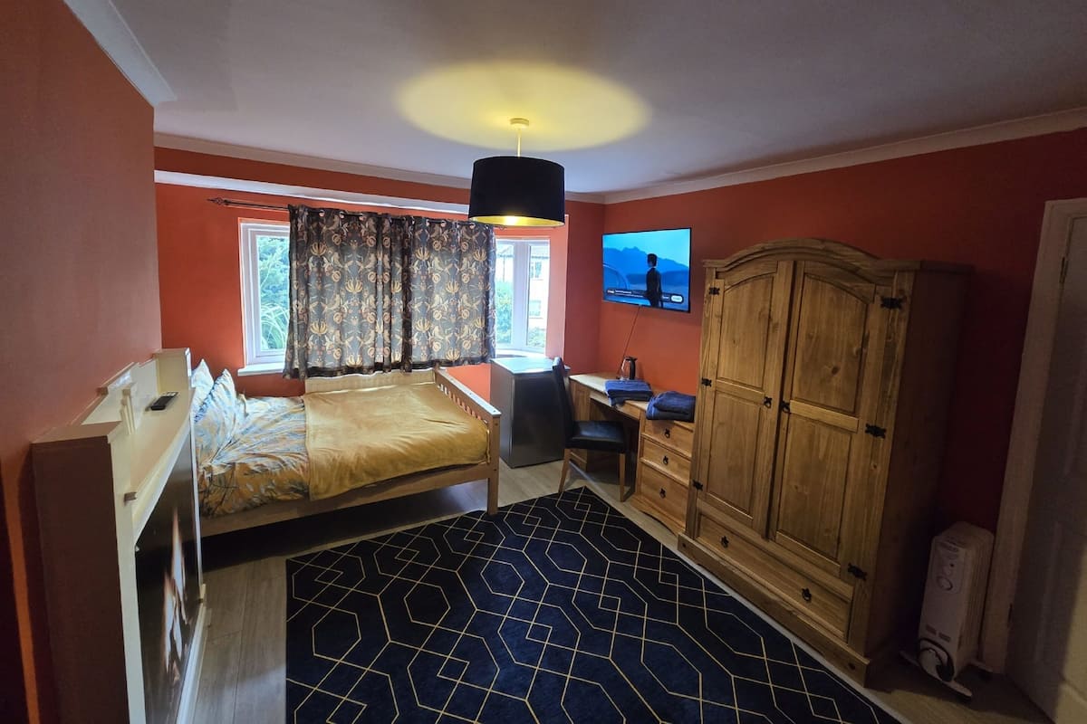 Comfort Single Room, 1 Double Bed with Sofa bed, Non Smoking