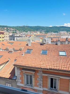 View from property - Apartament in city center - Trieste  (Trieste)