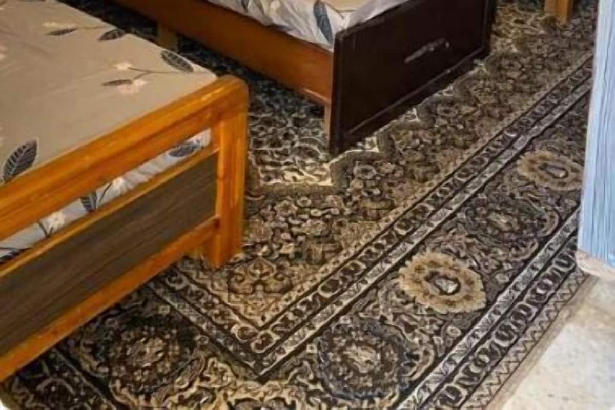 Klassieke vierpersoonskamer, patio | Een bureau, een laptopwerkplek, gratis wifi