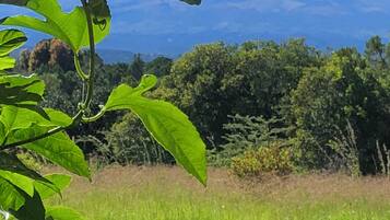 Exclusive Villa, Patio, Mountain View | View from room