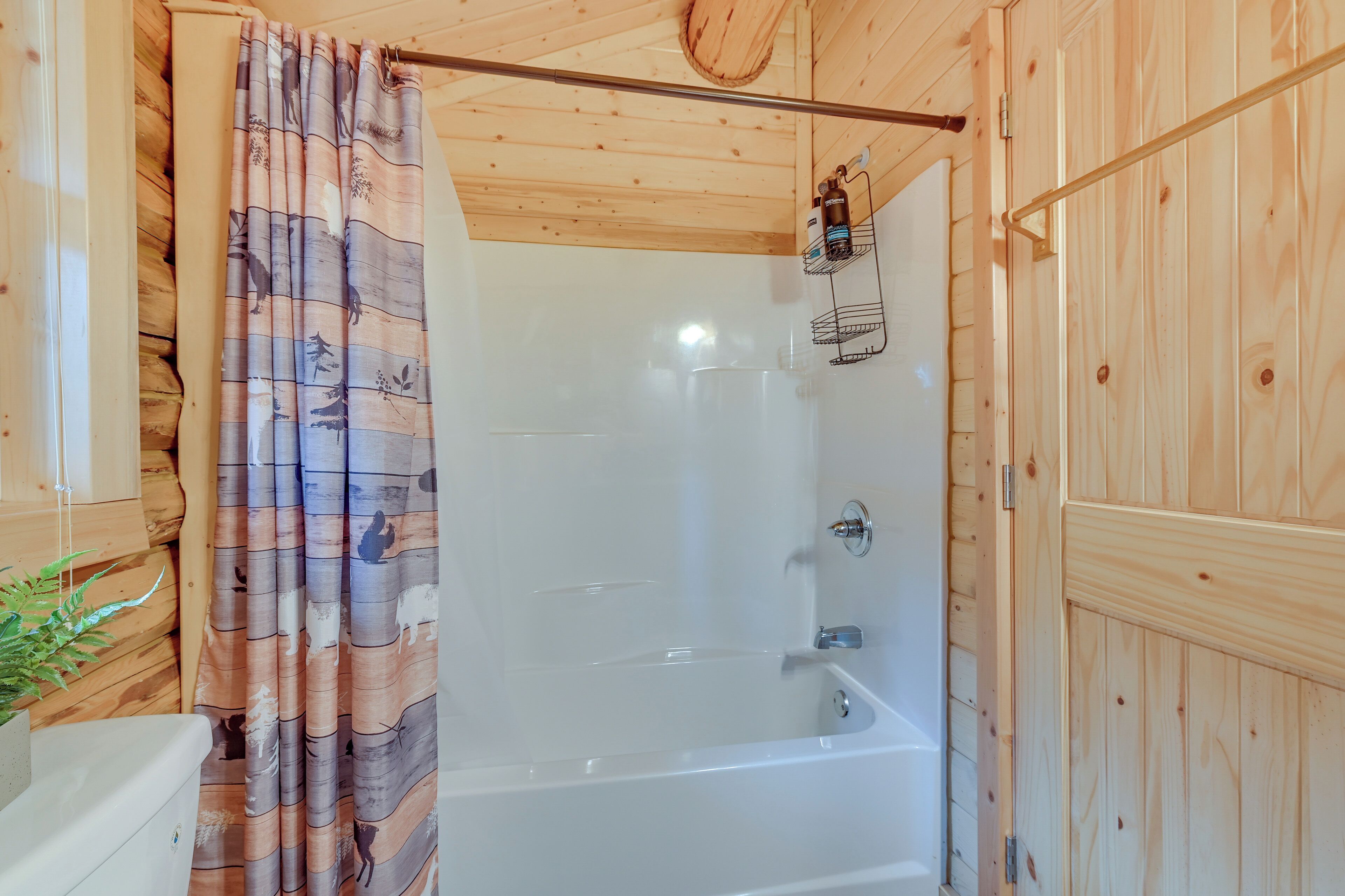 House (1 Bedroom) | Interior